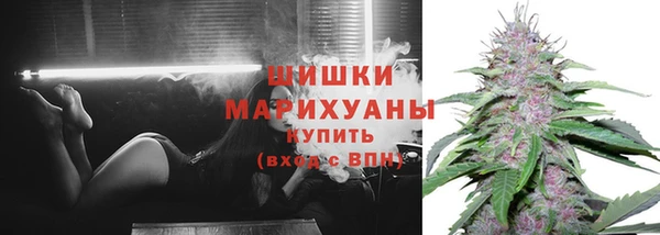 соль ск Новодвинск
