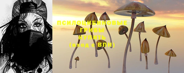 соль ск Новодвинск