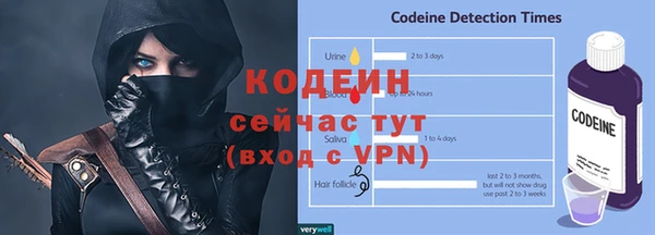 соль ск Новодвинск