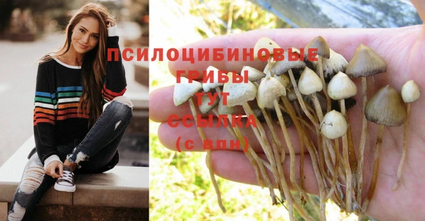 прущая мука Новокубанск