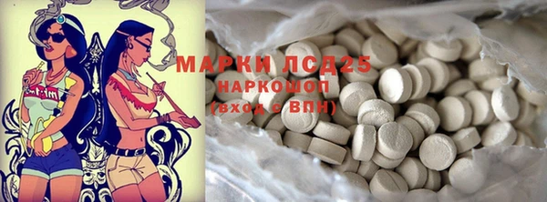 соль ск Новодвинск